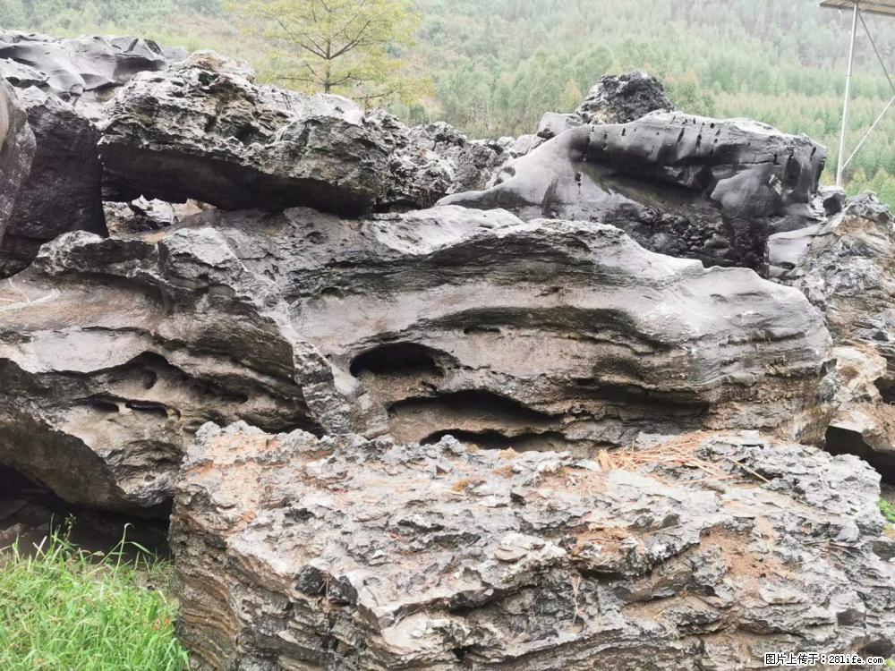 风景石、假山石大量有货，有需要的欢迎联系 - 新手上路 - 深圳生活社区 - 深圳28生活网 sz.28life.net