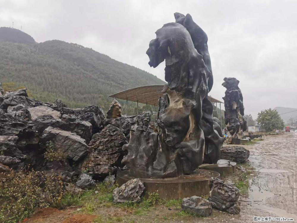 风景石、假山石大量有货，有需要的欢迎联系 - 新手上路 - 深圳生活社区 - 深圳28生活网 sz.28life.net