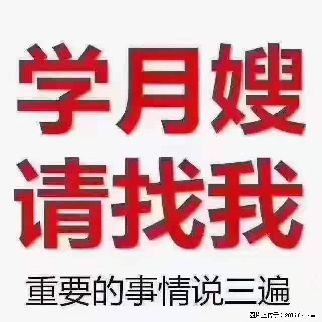 为什么要学习月嫂，育婴师？ - 新手上路 - 深圳生活社区 - 深圳28生活网 sz.28life.net
