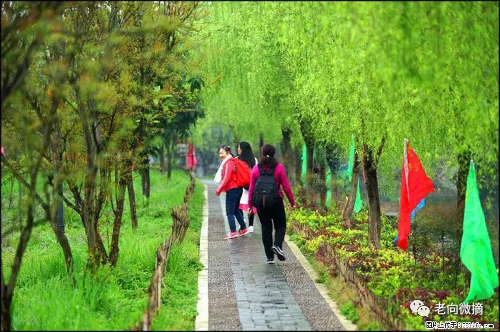 【春天，广西桂林灌阳县向您发出邀请！】江口老街又逢春 - 游山玩水 - 深圳生活社区 - 深圳28生活网 sz.28life.net