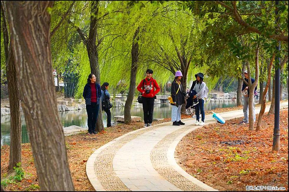 【春天，广西桂林灌阳县向您发出邀请！】江口老街又逢春 - 游山玩水 - 深圳生活社区 - 深圳28生活网 sz.28life.net