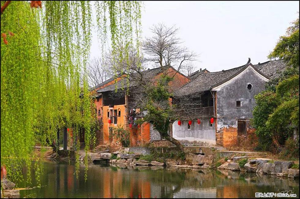 【春天，广西桂林灌阳县向您发出邀请！】江口老街又逢春 - 游山玩水 - 深圳生活社区 - 深圳28生活网 sz.28life.net
