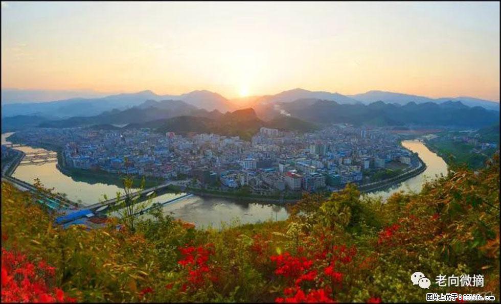 【春天，广西桂林灌阳县向您发出邀请！】登麒麟山，相约映山红 - 游山玩水 - 深圳生活社区 - 深圳28生活网 sz.28life.net