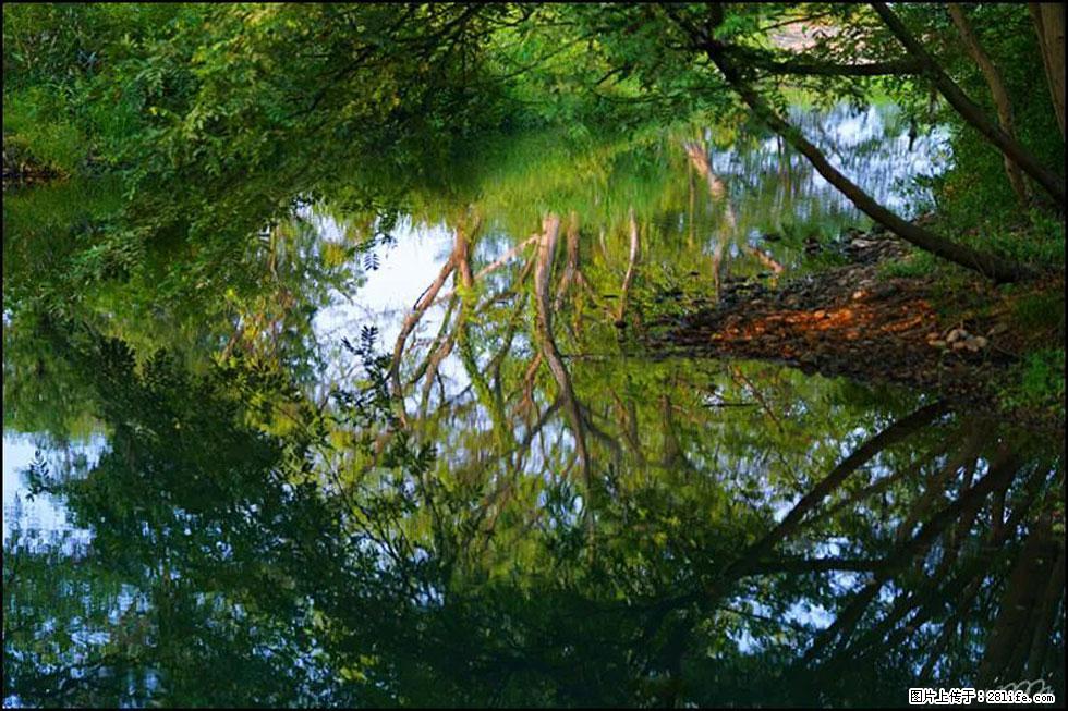 【春天，广西桂林灌阳县向您发出邀请！】熊家寨湿地公园 - 游山玩水 - 深圳生活社区 - 深圳28生活网 sz.28life.net