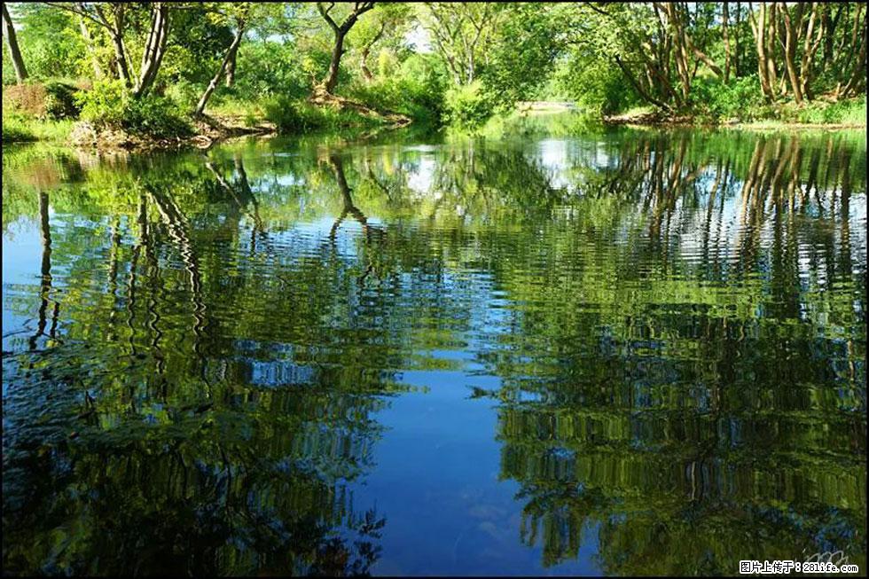 【春天，广西桂林灌阳县向您发出邀请！】熊家寨湿地公园 - 游山玩水 - 深圳生活社区 - 深圳28生活网 sz.28life.net