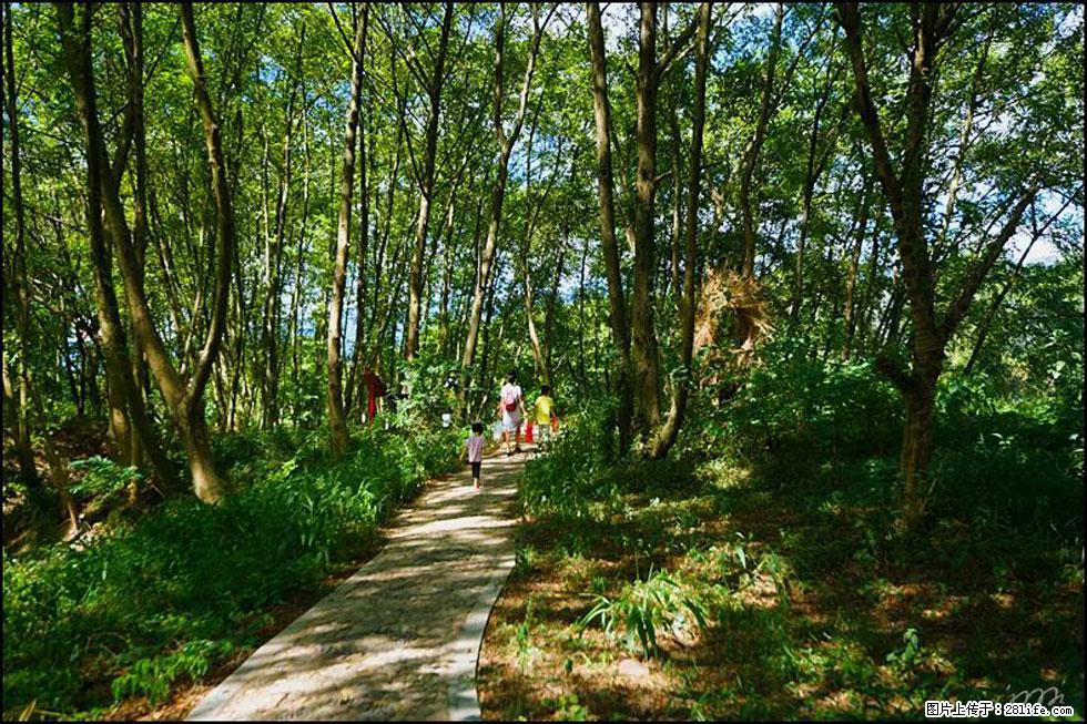 【春天，广西桂林灌阳县向您发出邀请！】熊家寨湿地公园 - 游山玩水 - 深圳生活社区 - 深圳28生活网 sz.28life.net