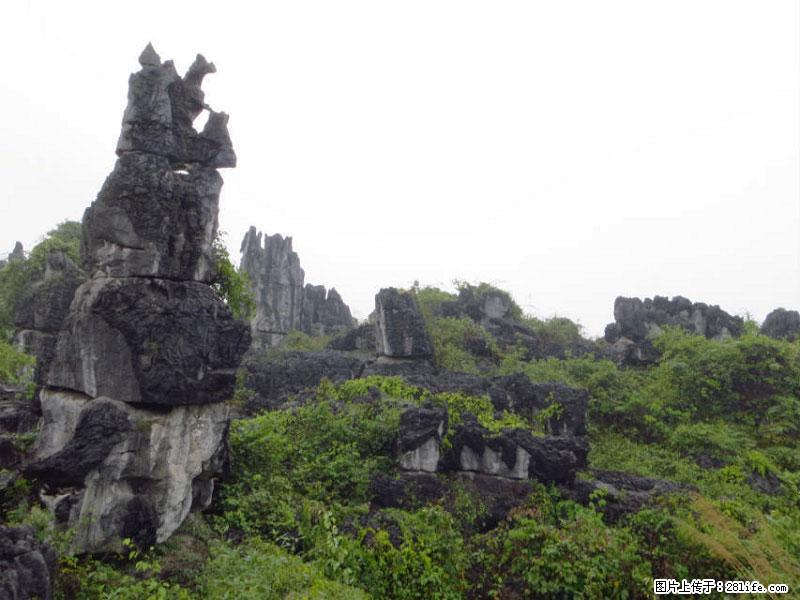 桂林旅游名城景点：灌阳文市石林 - 游山玩水 - 深圳生活社区 - 深圳28生活网 sz.28life.net