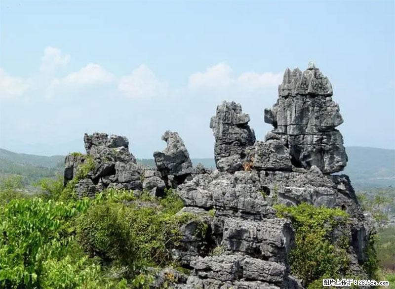 桂林旅游名城景点：灌阳文市石林 - 游山玩水 - 深圳生活社区 - 深圳28生活网 sz.28life.net