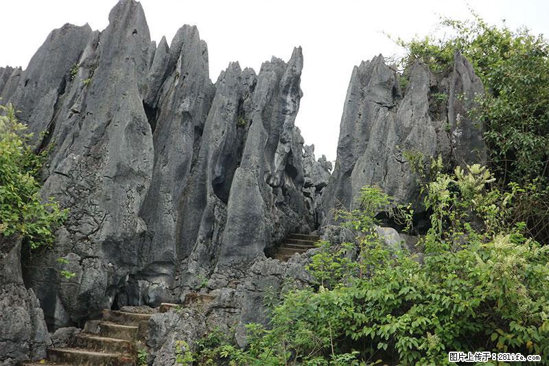 桂林旅游名城景点：灌阳文市石林 - 游山玩水 - 深圳生活社区 - 深圳28生活网 sz.28life.net
