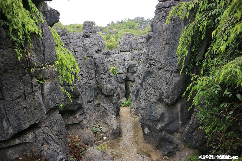 桂林旅游名城景点：灌阳文市石林 - 游山玩水 - 深圳生活社区 - 深圳28生活网 sz.28life.net