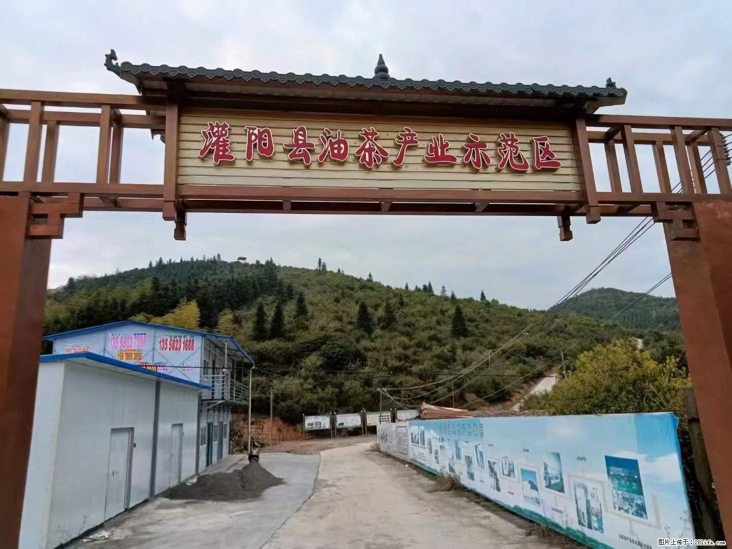 【灌阳县油茶产业示范区】一个有着充实的精神生活的人，对待身外之物自会有一种淡泊的态度 - 土特产 - 饮食特产 - 深圳分类信息 - 深圳28生活网 sz.28life.net