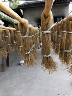 【灌阳正宗红薯粉】美女家里自己做的，干净卫生，假一赔十，价格合理，抢购电话：13737312895 - 深圳28生活网 sz.28life.net