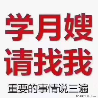 为什么要学习月嫂，育婴师？ - 深圳28生活网 sz.28life.net
