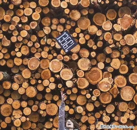 辞掉工作周游世界？现在他们在洗厕所…… - 游山玩水 - 深圳生活社区 - 深圳28生活网 sz.28life.net