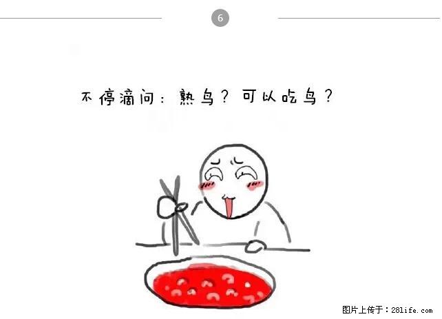 千万不要和这9种哈卵一起吃火锅! - 美食天地 - 深圳生活社区 - 深圳28生活网 sz.28life.net