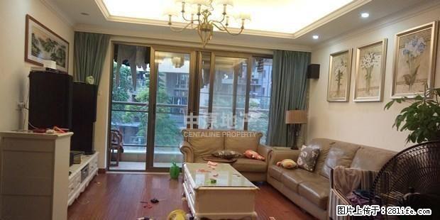业主自住3房 干净整洁 家私家电全包 急租3400元价格可谈 - 房屋出租 - 房屋租售 - 深圳分类信息 - 深圳28生活网 sz.28life.net