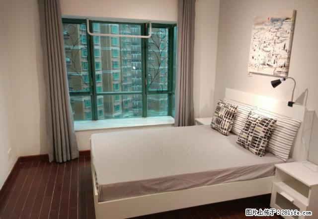 (单间出租)免费服务，无中介费服务费，维修保洁免费享用 - 房屋出租 - 房屋租售 - 深圳分类信息 - 深圳28生活网 sz.28life.net