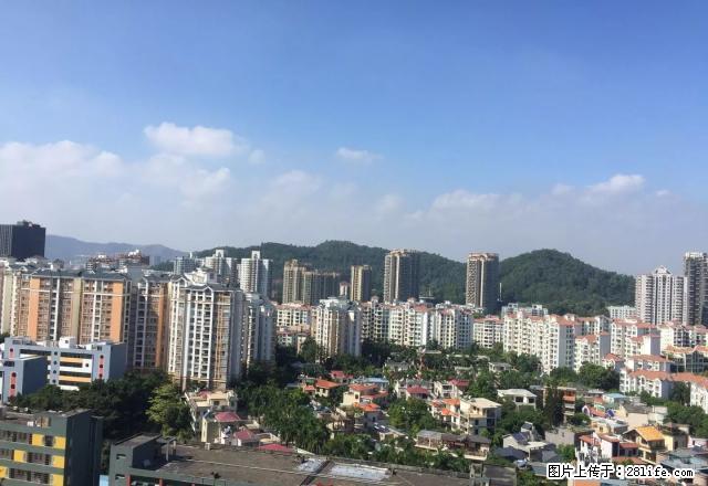 布吉丹竹头荔枝花园大2房1厅出租高层 外景通风免费送宽带一年 - 房屋出租 - 房屋租售 - 深圳分类信息 - 深圳28生活网 sz.28life.net