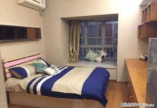免中介_佳兆业可域酒店 双地铁站口 罗湖 东门 精装一房 - 深圳28生活网 sz.28life.net