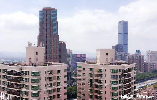 骏皇名居南向豪华装修，正规好房型出租,拎包入住，大两房 - 房屋出租 - 房屋租售 - 深圳分类信息 - 深圳28生活网 sz.28life.net