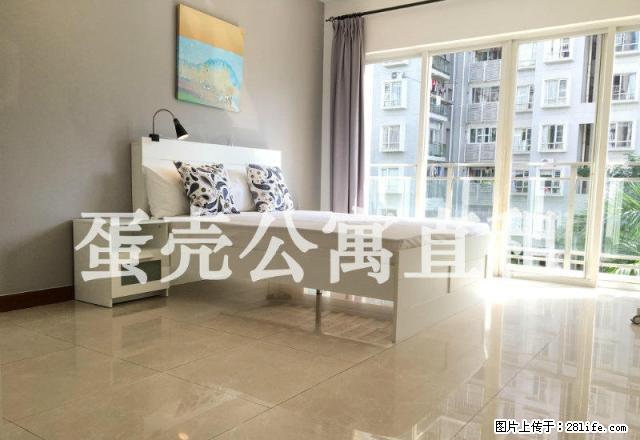 旺海怡苑 蛋壳公寓直租 精装主卧 房间实拍 免费WiFi - 房屋出租 - 房屋租售 - 深圳分类信息 - 深圳28生活网 sz.28life.net