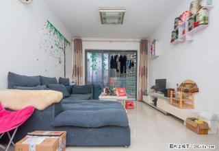 幸福枫景 精装大三房 5200提包入住 晚到无 - 深圳28生活网 sz.28life.net