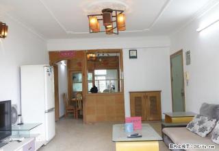 中心城吉祥地铁站 万科广场 龙城中学紫薇花园精装修全齐3房租 - 深圳28生活网 sz.28life.net