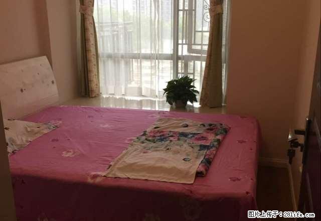 大芬地铁站，康达尔花园笋盘，3房仅租3900，业主诚心租，快 - 房屋出租 - 房屋租售 - 深圳分类信息 - 深圳28生活网 sz.28life.net