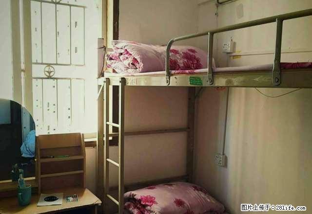 (单间出租)松园北街小区有房出租干净整洁随时入住 - 房屋出租 - 房屋租售 - 深圳分类信息 - 深圳28生活网 sz.28life.net