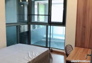 (单间出租)紧邻宝体，达海花园，小区公寓直租，无中介 - 深圳28生活网 sz.28life.net