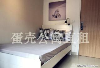 (单间出租)中央花园 蛋壳公寓直租 押一付一 房间实拍 独立卫浴 - 深圳28生活网 sz.28life.net