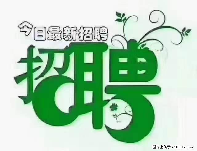 【招聘摄像师】待遇：试用期6000元/月，转正7000元/月+五险一金+餐补+节日福利+奖金 - 职场交流 - 深圳生活社区 - 深圳28生活网 sz.28life.net