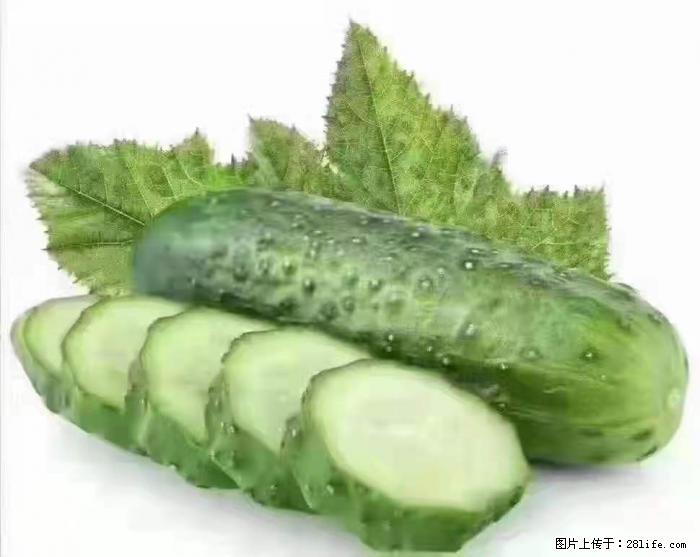 【生活小常识】吃黄瓜的好处 - 生活百科 - 深圳生活社区 - 深圳28生活网 sz.28life.net