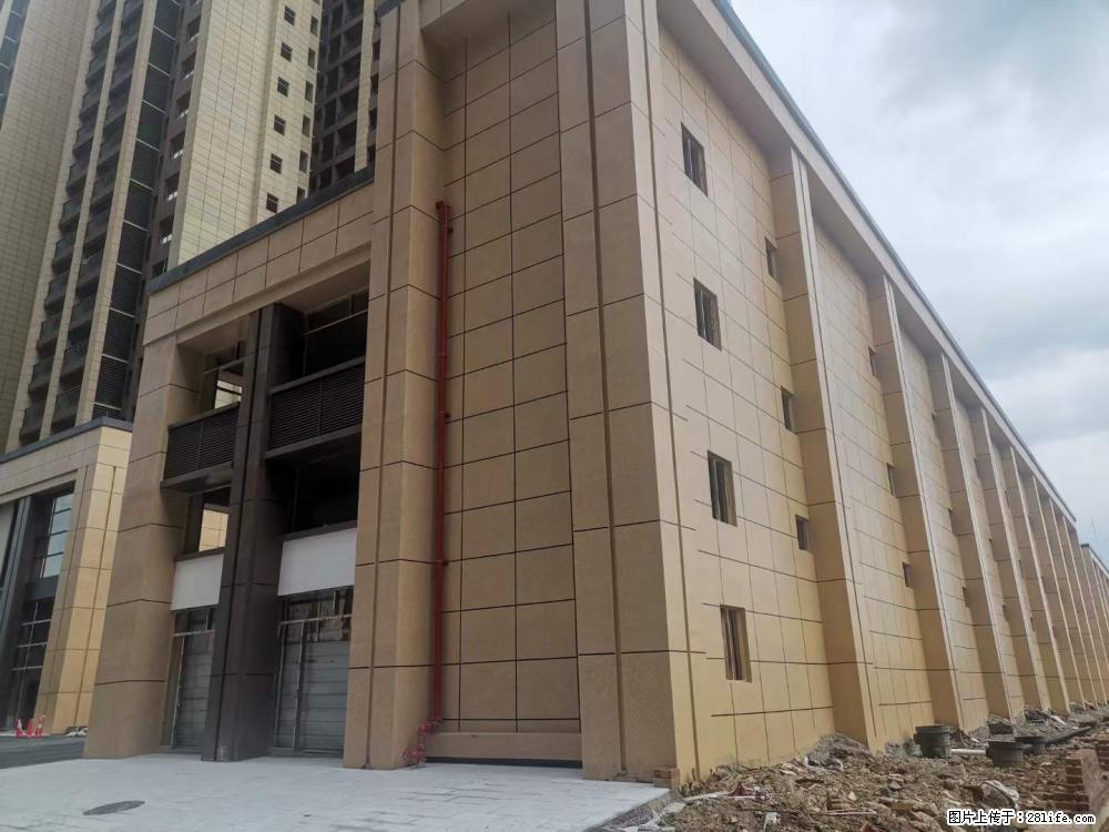 【广西三象建筑安装工程有限公司】外墙涂料工程 - 新手上路 - 深圳生活社区 - 深圳28生活网 sz.28life.net