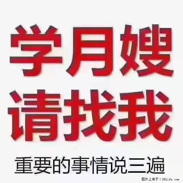 【招聘】月嫂，上海徐汇区 - 职场交流 - 深圳生活社区 - 深圳28生活网 sz.28life.net