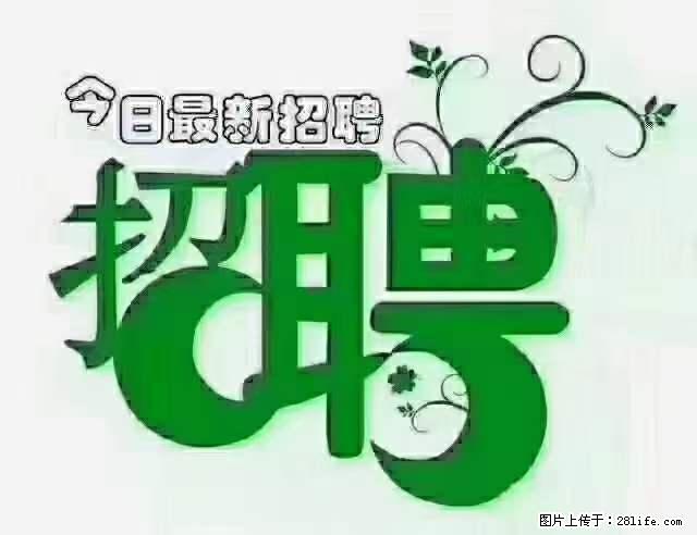上海青浦区招仓管 - 职场交流 - 深圳生活社区 - 深圳28生活网 sz.28life.net