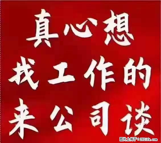 【上海】国企，医院招两名男保安，55岁以下，身高1.7米以上，无犯罪记录不良嗜好 - 职场交流 - 深圳生活社区 - 深圳28生活网 sz.28life.net