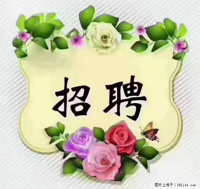 【招聘】住家育儿嫂，上户日期：4月4日，工作地址：上海 黄浦区 - 职场交流 - 深圳生活社区 - 深圳28生活网 sz.28life.net