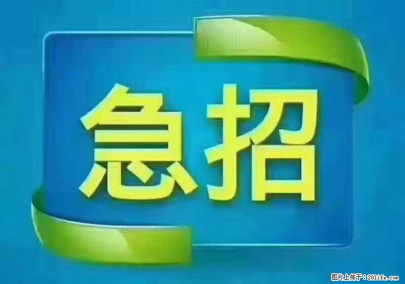 招出纳8000元/月，无证可以，要有相关经验，上海五险一金，包住，包工作餐，做六休一。 - 职场交流 - 深圳生活社区 - 深圳28生活网 sz.28life.net