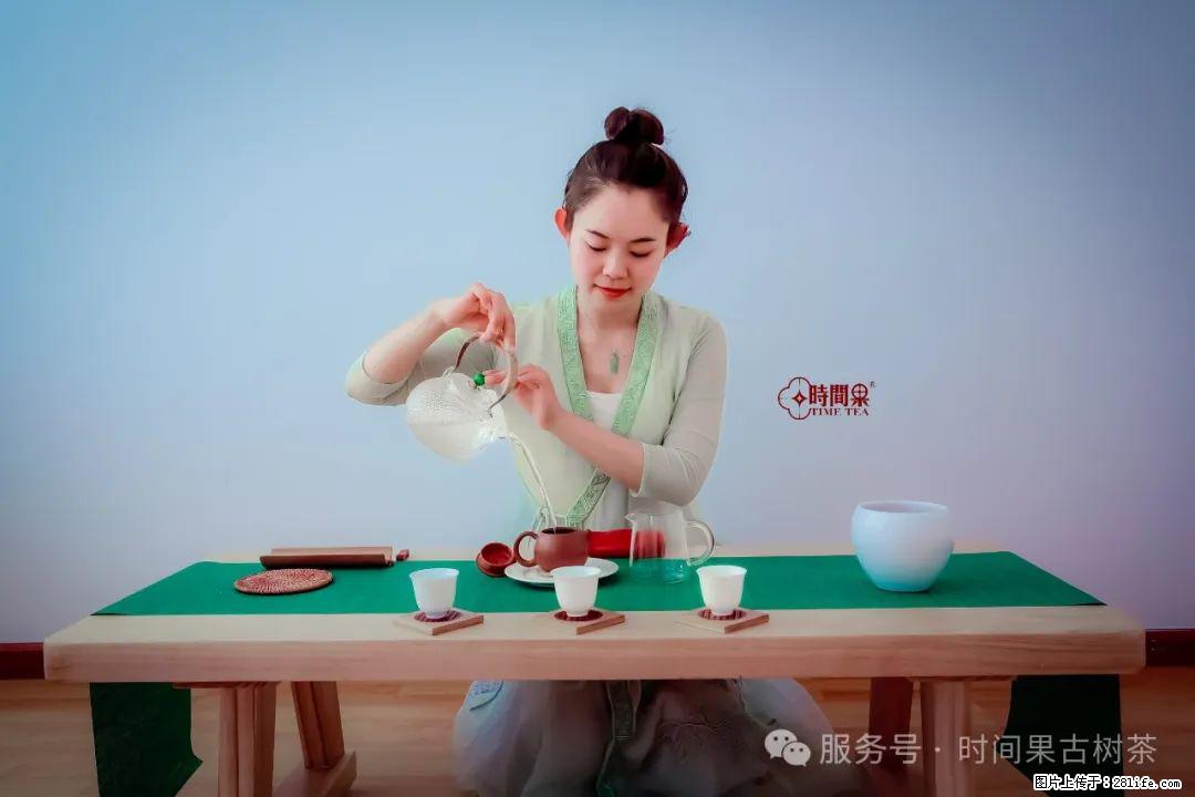 时间果百年古树龙珠普洱生茶 - 购物交流 - 深圳生活社区 - 深圳28生活网 sz.28life.net