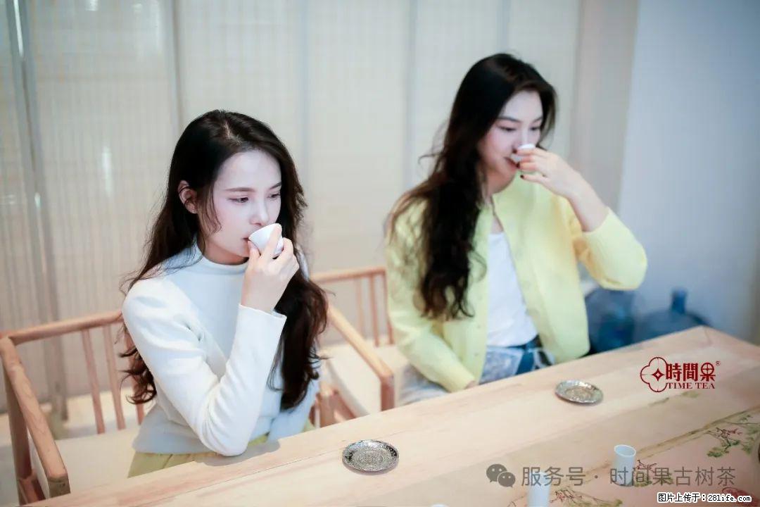 时间果百年古树龙珠普洱生茶 - 购物交流 - 深圳生活社区 - 深圳28生活网 sz.28life.net