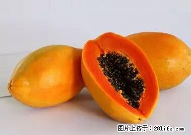 晕车、脚气、牙齿变黄、皮肤粗糙？学会这些三分钟搞定！ - 深圳生活资讯 - 深圳28生活网 sz.28life.net