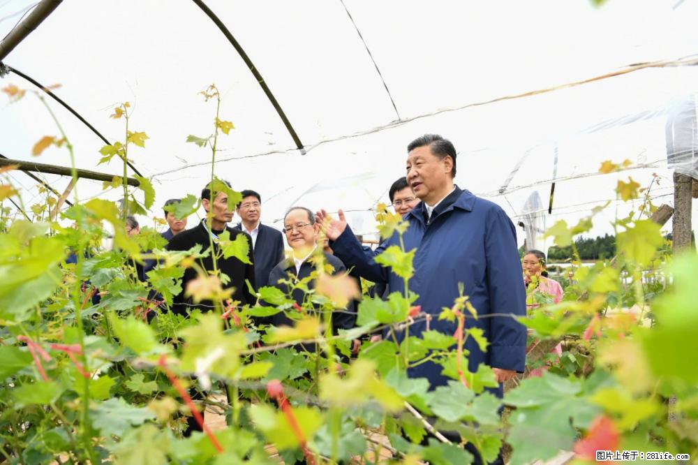 习近平赴广西考察调研 - 深圳生活资讯 - 深圳28生活网 sz.28life.net