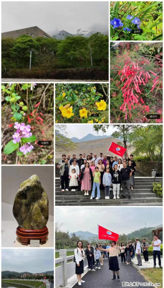 “粤灌文化 美好生活”油茶文化主题活动在广东深圳成功举办 - 深圳生活资讯 - 深圳28生活网 sz.28life.net