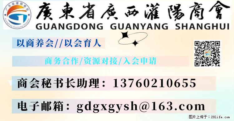 “粤灌文化 美好生活”油茶文化主题活动在广东深圳成功举办 - 深圳生活资讯 - 深圳28生活网 sz.28life.net