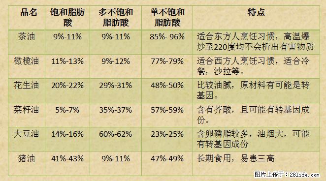 揭秘茶油的5大核心营养成分！被称为人体健康的“守护盾”！ - 深圳生活资讯 - 深圳28生活网 sz.28life.net
