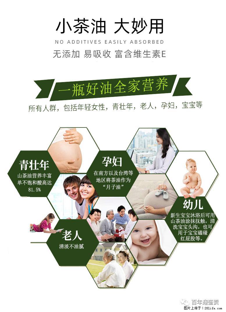 世界没有真相，只有认知，最好的食用油是中国的山茶油！ - 深圳生活资讯 - 深圳28生活网 sz.28life.net