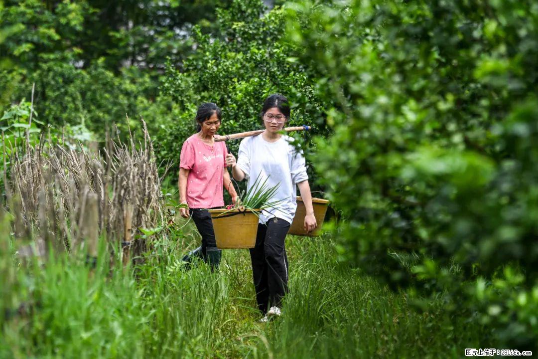 全网追的“扁担女孩”，找了一份暑假工，时薪12元 - 深圳生活资讯 - 深圳28生活网 sz.28life.net