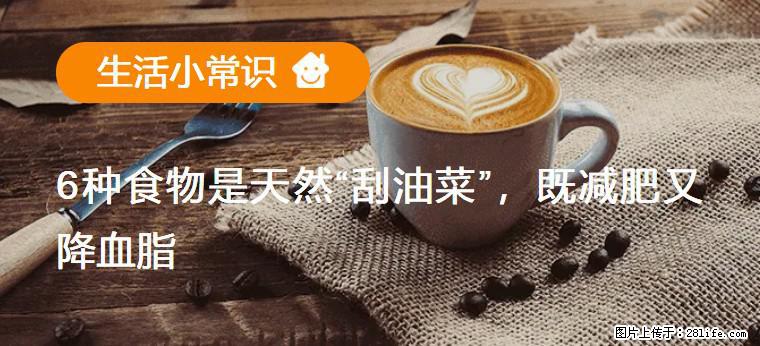 【生活小常识】6种食物是天然“刮油菜”，既减肥又降血脂 - 深圳生活资讯 - 深圳28生活网 sz.28life.net
