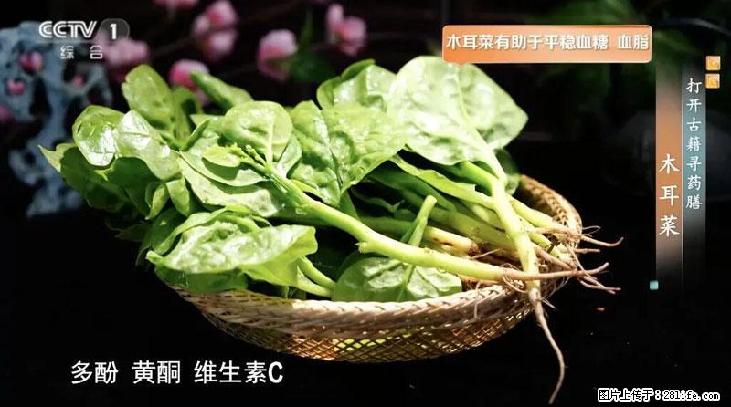 比牛奶补钙还厉害！凉血解毒、稳血糖...这菜冬天必吃，很多人却当草 - 深圳生活资讯 - 深圳28生活网 sz.28life.net